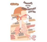 KCDFDVJFBM Detailed Lungs and Airways Anatomy Chart, Scientific Poster for Biology Class, Modern Wall Decor for Office or Library, Thoughtful Learning Gift(Framed,12x18inch(30x45cm))