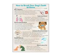 KCDFDVJFBM Dog Care Reminder Poster Pet Wellness Tips Canvas Art Print Wall Decor Home Bedroom(Framed,16x24inch(40x60cm))