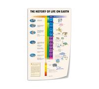 KCDFDVJFBM Evolution of Life Poster Canvas Wall-Art Earth History Timeline Science Chart Print for Classroom Study Room Living Room Decor(Framed,08X12inch(20X30cm))