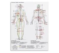 KCDFDVJFBM Holistic Health Poster Chinese Meridian Chart Five Elements Theory Acupuncture Art for Wellness Center Room(Framed,12x18inch(30x45cm))