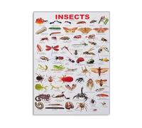 KCDFDVJFBM Insect Encyclopedia Educational Poster - Bugs Species Chart Canvas Wall-Art for Classroom Decor(Unframed,16x24inch(40x60cm))
