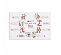 KCDFDVJFBM IVF Process Cycle Infographic Poster Fertility Educational Wall-Art Canvas Print Home Decor Living Room Bedroom(Framed,16x24inch(40x60cm))