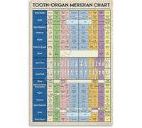 KCDFDVJFBM Science Classroom Decor Educational Canvas Wall-Art Meridian Tooth Chart Anatomy for Office Room(Framed,08x12inch(20x30cm))