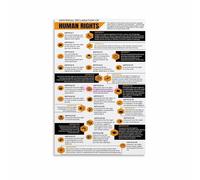 KCDFDVJFBM Social Justice Wall Art - Universal Human Rights Declaration Poster, Thought-Provoking Print for Office, Living Space or as a Gift(Framed,16x24inch(40x60cm))