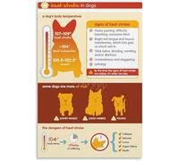 KCDFDVJFBM Summer Alert for Dogs Recognizing and Responding Poster Canvas Art Print for Airy Conservatory or Vet Office Decor(Framed,16x24inch(40x60cm))