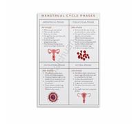 KCDFDVJFBM Understanding Female Hormones Body Guide Chart Wall-Art for Womens Health Office Decor(Framed,16x24inch(40x60cm))