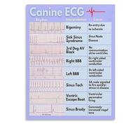 KCDFDVJFBM Veterinary ECG Chart Educational Canvas Wall-Art Heart Rhythm Guide for Vet Office Animal Care Home Decor(Framed,12x18inch(30x45cm))