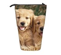KCGSDEGV Golden Retriever Dogs Puppies Pets Prints Standing Expandable Pencil Case Organiser for School Pens, Makeup & Travel for Students & Artists