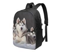 KCGSDEGV Lovely Husky Printed Laptop Backpack With Usb Charging Port And Luggage Tag For Travel, School, And Hiking