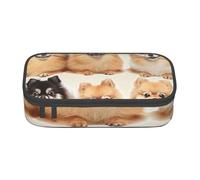 KCGSDEGV Pomeranians Pattern Printed Pencil Cases Cute Compartment Pencil Pouch Pen Bag Holder Stationery Organizer Box for School Girls Boys