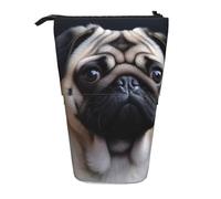 KCGSDEGV Pug Dog Prints Standing Expandable Pencil Case Organiser for School Pens, Makeup & Travel for Students & Artists