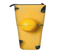 KCGSDEGV Yellow Lemon Art Prints Standing Expandable Pencil Case Organiser for School Pens, Makeup & Travel for Students & Artists