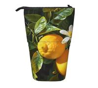 KCGSDEGV Yellow Lemon Flower Prints Standing Expandable Pencil Case Organiser for School Pens, Makeup & Travel for Students & Artists