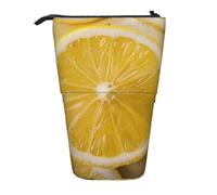 KCGSDEGV Yellow Lemon Prints Standing Expandable Pencil Case Organiser for School Pens, Makeup & Travel for Students & Artists