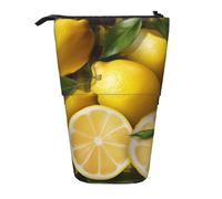 KCGSDEGV Yellow Lemon Prints Standing Expandable Pencil Case Organiser for School Pens, Makeup & Travel for Students & Artists
