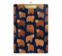Kcldeci Acrylic Clipboard A4 Size Clipboards for Classroom Nursing Cute Grizzly Bears1 Clip Board Hardboard for Office Supplies, School Silver 12x9in