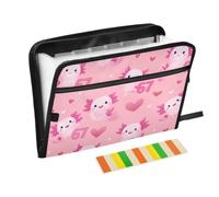 Kcldeci Expanding File Folder,13 Pockets Accordion File Organizer, 67 Axolot Heart A4 Letter Size Paper Document Receipt Organizer Accordian Filing Folder