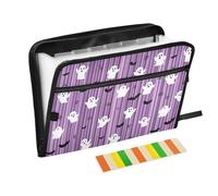 Kcldeci Expanding File Folder,13 Pockets Accordion File Organizer, Ghosts Stripes A4 Letter Size Paper Document Receipt Organizer Accordian Filing Folder