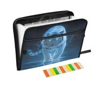 Kcldeci Expanding File Folder,13 Pockets Accordion File Organizer, Glowing Blue Tiger A4 Letter Size Paper Document Receipt Organizer Accordian Filing Folder