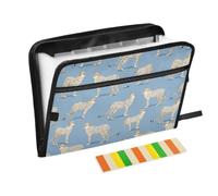 Kcldeci Expanding File Folder,13 Pockets Accordion File Organizer, Safari Cheetah on Blue1 A4 Letter Size Paper Document Receipt Organizer Accordian Filing Folder