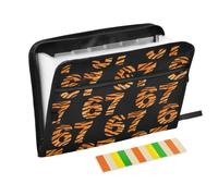Kcldeci Expanding File Folder,13 Pockets Accordion File Organizer, Tiger Print 67 A4 Letter Size Paper Document Receipt Organizer Accordian Filing Folder