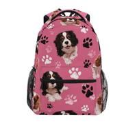 Kcldeci Kids Backpack for Boys Girls Elementary School Backpacks Cavalier King Charles Pink Boys Children Bookbags Primary Kindergarten Backpack M