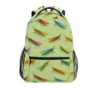 Kcldeci Kids Backpack for Boys Girls Elementary School Backpacks Grasshopper on Light Green Boys Children Bookbags Primary Kindergarten Backpack S