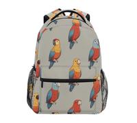 Kcldeci Kids Backpack for Boys Girls Elementary School Backpacks Parrot on Gray1 Boys Children Bookbags Primary Kindergarten Backpack S