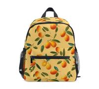 Kcldeci Toddler Backpack for Girls Boys Fresh Kumquat Fruit Kindergarten Elementary Preschool Kids School Bag Book Bag M