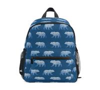 Kcldeci Toddler Backpack for Girls Boys Grizzly Bear on Blue Kindergarten Elementary Preschool Kids School Bag Book Bag S