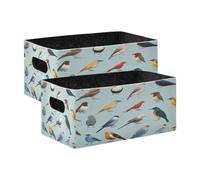 Kcldeci Various Birds 2 Pack Storage Baskets for Organizing,Sturdy Foldable Storage Bins Organizer for Shelves Closet Nursery