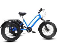 Kcolic Adult Fat Tire Tricycles with Basket, 20" 3 Wheels Cruise Bicycles, 7 Speed, Carbon Steel Frame, Exercise Men's Women's Tricycles B,20in7