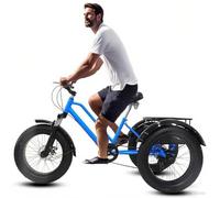 Kcolic Fat Tire Tricycles with Basket for Adults, 3 Wheels Cruise Bicycles, 20in 7 Speed, Carbon Steel Frame Exercise Men's Women's Tricycles A,20in7