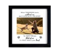 KCRasan Dog Memorial Photo Frame - Pet Memorial Photo Frame for Pet Loss, Memorial Frame for Dog or Cat with Sympathy, Hommage (9 x 9 inches)