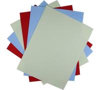 KCS 4/6 pc of 12" x 18"(30cmx45cm) 16CT Counted Cotton Aida Cloth Cross Stitch Fabric (Light Blue+Light Green+Red, 6 pc)