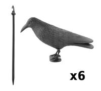 Kct 6 Pack Of Crow Decoy Full Bodied Realistic Hunting Prop And Bird Scarer