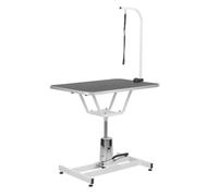 Kct Standard Hydraulic Adjustable Dog Pet Bath Grooming Table Swivel Arm Loop