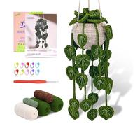 kdafio Crochet Kit for Beginners, Hanging Potted Plants Crochet Starter Kit with Step-by-Step Video Tutorials Complete Crochet Kit for Beginners Decoration (Green Grass Plants)