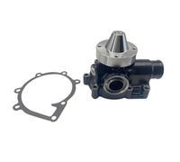 KDFCVUX Circulation Water Pump Compatible With 32 43 44 Models Includes 300 AD 31 41 23059414 3809412 3803869 3580777 3809412