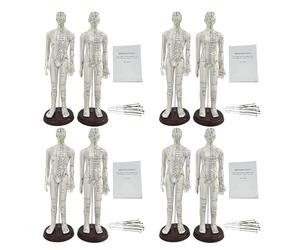 KDJFS 8 Piece Set Acupuncture Doll, 1/3 Male and Female Human Acupuncture Point Model, 21'' Acupuncture Mannequin Suitable for Massage Acupuncture Learning and Teaching