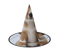 KDKJEDPEAF Cute Puppy Dog Print Halloween Pointy Hat For Women, Magic Hat, Foldable Witch Hatwizard Party Hat For Cosplay Costume & Daily Accessorie