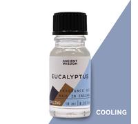 KDMD 10ml Eucalyptus Fragrance Oil in Blue KDMD Blue