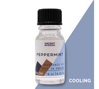 KDMD 10ml Peppermint Fragrance Oil in Blue KDMD Blue