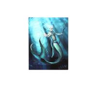 KDMD 19x25cm Water Element Wizard Canvas Plaque in Teal | Size: 19x25 cm KDMD Teal 19x25 cm