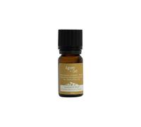 KDMD Agnes + Cat Great Gable Essential Oil Blend in Amber KDMD Amber