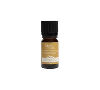 KDMD Agnes + Cat Orrest Head Essential Oil Blend in Amber KDMD Amber
