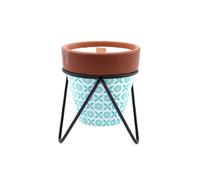 KDMD Agnes & Cat Rosemary Herb Garden Soy Candle with Wooden Wick KDMD Multicolor