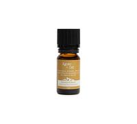 KDMD Agnes + Cat Windermere Essential Oil Blend-Lemon, Tea Tree & Peppermint in Amber KDMD Amber