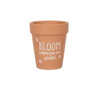 KDMD Bloom Where You Are Planted Terracotta Plant Pot in Light Brown KDMD Light Brown