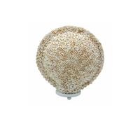 KDMD Boho Sea Shell Lamp - Large 30cm Round Cut Art Shell Decor in Cream KDMD Cream